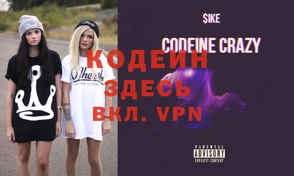 шишки Белокуриха