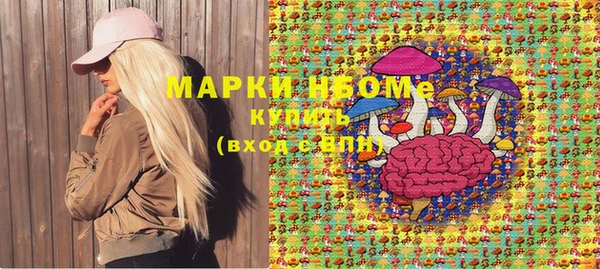 шишки Белокуриха