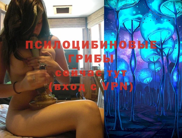шишки Белокуриха