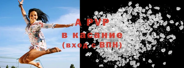 ешки Богданович