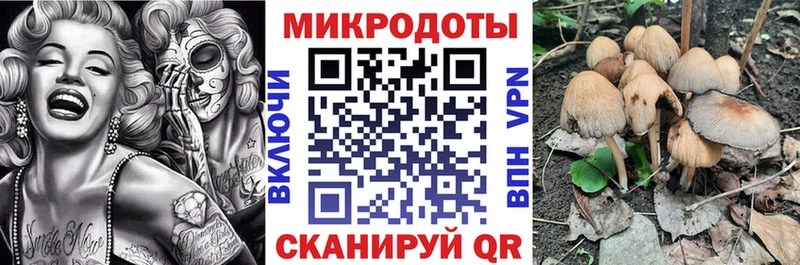 Псилоцибиновые грибы MAGIC MUSHROOMS где купить наркоту omg маркетплейс Кочубеевское